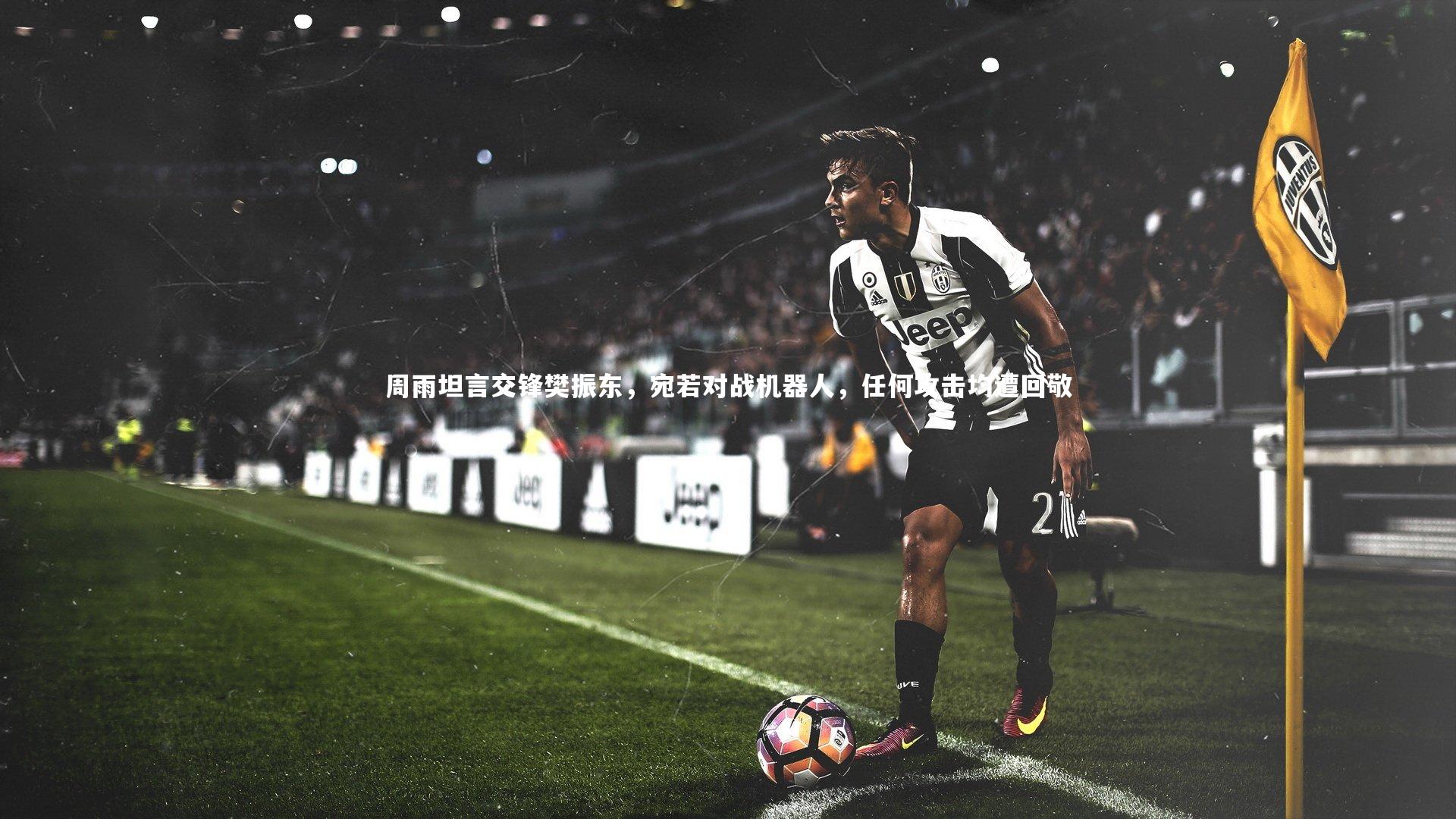 周雨坦言交锋樊振东,宛若对战机器人,任何攻击均遭回敬